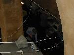 IMG_0039.JPG