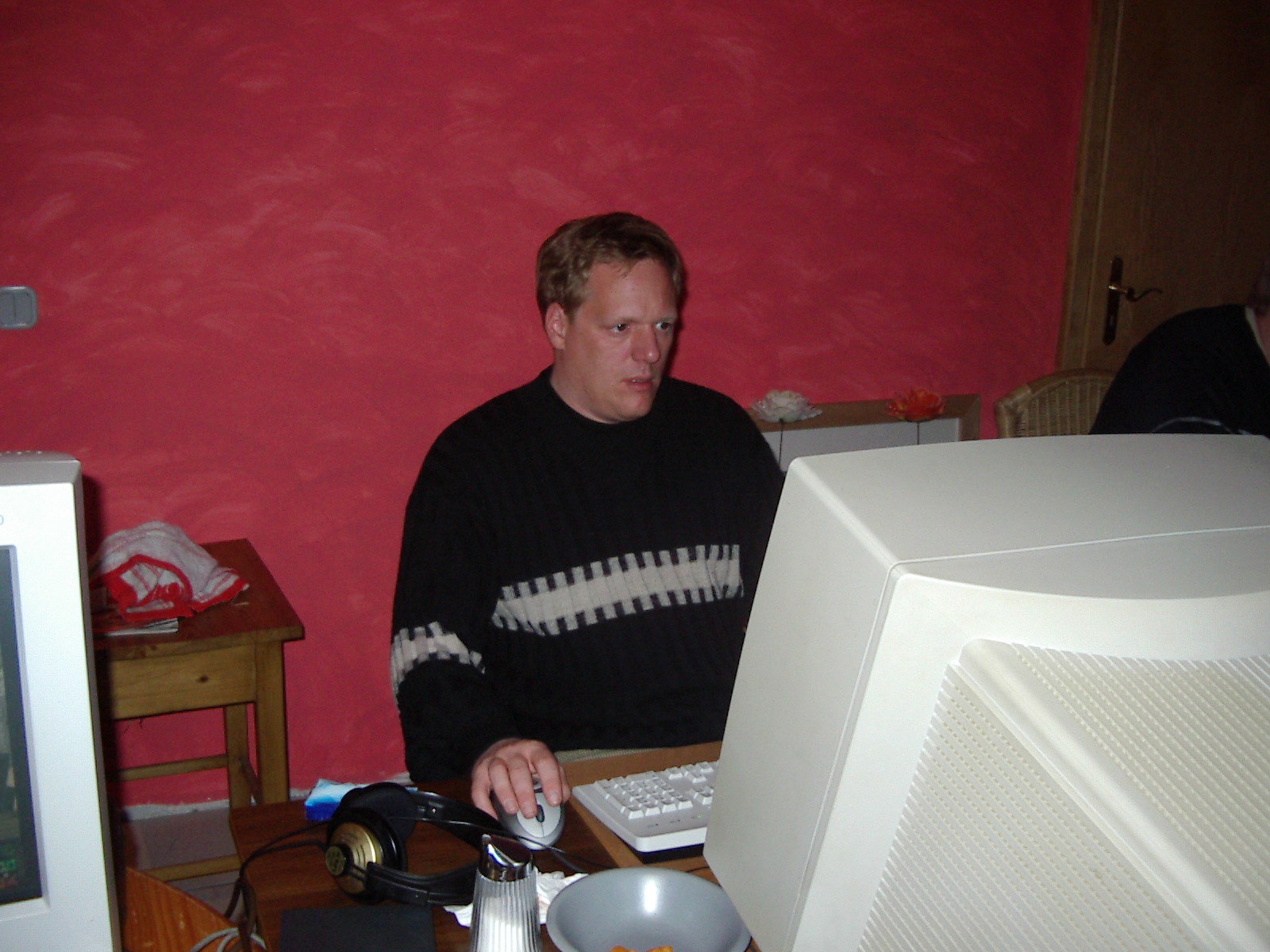 stinglan (7).jpg>